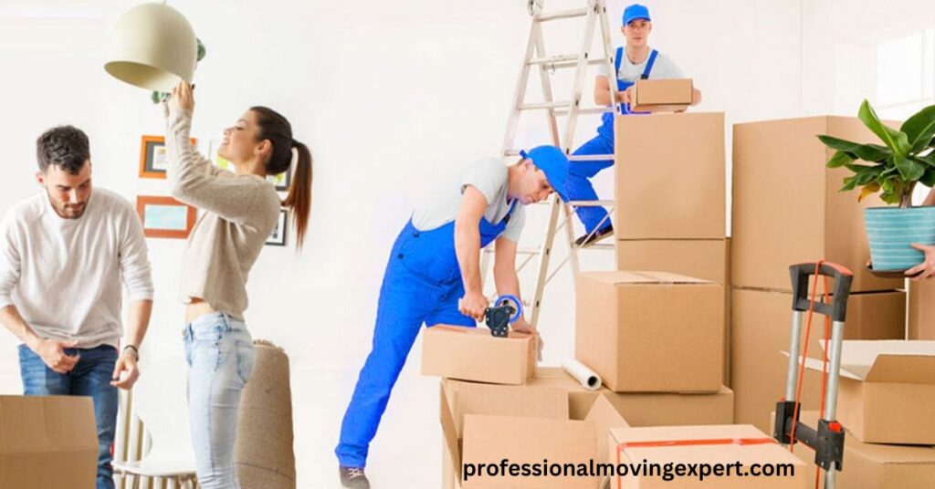 Professional Movers and Packers in Dubai