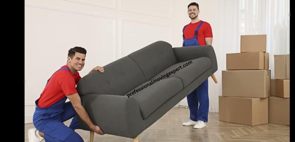 Trusted furniture movers in Fujairah ensuring safe home and office relocation.